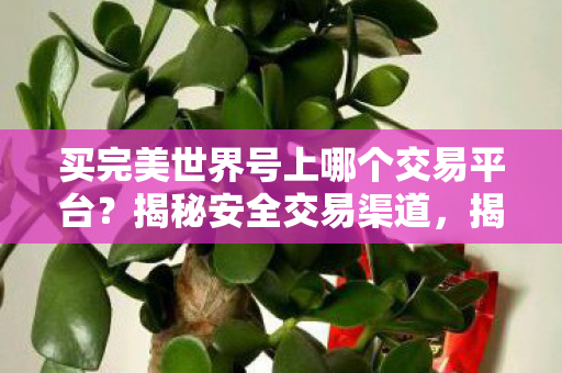 买完美世界号上哪个交易平台？揭秘安全交易渠道，揭秘安全交易渠道，如何购买完美世界账号？