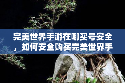 如何安全购买完美世界手游账号图片