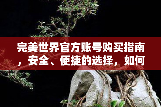完美世界官方账号购买指南,安全、便捷的选择,如何安全、便捷地购买完美世界官方账号 完美世界官方账号购买指南,安全、便捷的选择,如何安全、便捷地购买完美世界官方账号
