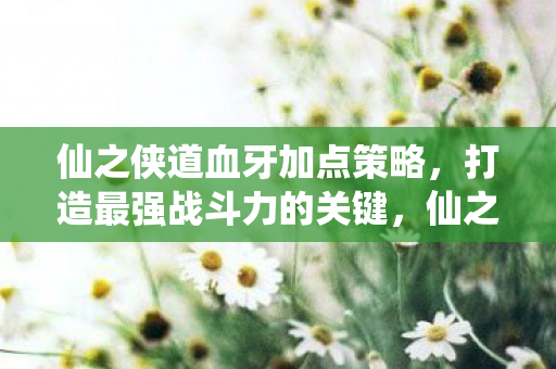 仙之侠道血牙加点策略,打造最强战斗力的关键,仙之侠道血牙角色加点攻略,打造最强战斗力 仙之侠道血牙加点策略,打造最强战斗力的关键,仙之侠道血牙角色加点攻略,打造最强战斗力