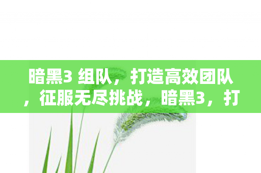 暗黑3 组队,打造高效团队,征服无尽挑战,暗黑3,打造高效团队,征服无尽挑战 暗黑3 组队,打造高效团队,征服无尽挑战,暗黑3,打造高效团队,征服无尽挑战
