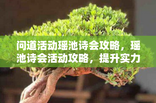 问道活动瑶池诗会攻略，瑶池诗会活动攻略，提升实力，赢取丰厚奖励！