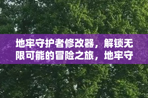 地牢守护者修改器，解锁无限可能的冒险之旅，地牢守护者修改器，解锁无限冒险之旅