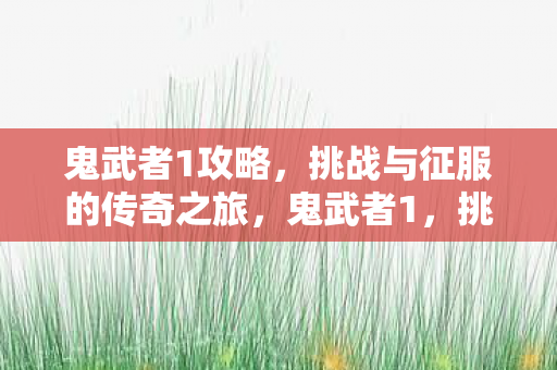 鬼武者1攻略,挑战与征服的传奇之旅,鬼武者1,挑战与征服的传奇之旅攻略 鬼武者1攻略,挑战与征服的传奇之旅,鬼武者1,挑战与征服的传奇之旅攻略