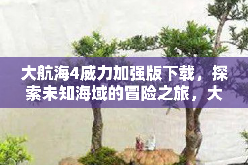 大航海4威力加强版下载,探索未知海域的冒险之旅,大航海4威力加强版,开启探索未知海域的冒险之旅 大航海4威力加强版下载,探索未知海域的冒险之旅,大航海4威力加强版,开启探索未知海域的冒险之旅