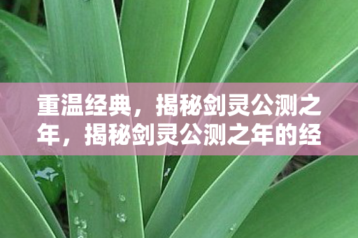揭秘剑灵公测之年的经典回忆图片