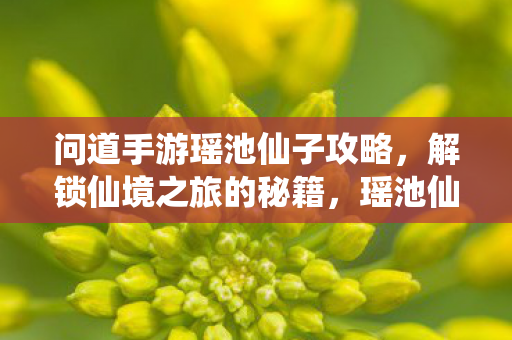 解锁问道手游仙境之旅的秘籍图片