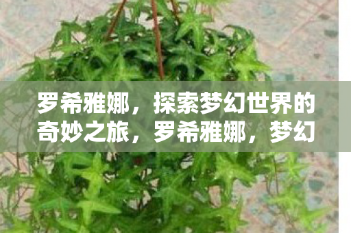 罗希雅娜，探索梦幻世界的奇妙之旅，罗希雅娜，梦幻世界的奇妙探索之旅