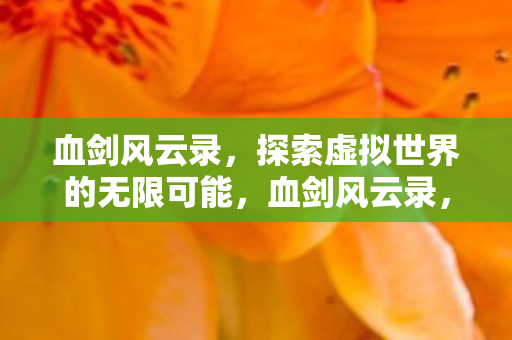 血剑风云录,探索虚拟世界的无限可能,血剑风云录,探索虚拟世界的无限可能 血剑风云录,探索虚拟世界的无限可能,血剑风云录,探索虚拟世界的无限可能