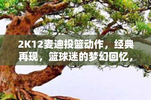 2K12麦迪投篮动作，经典再现，篮球迷的梦幻回忆，2K12再现麦迪经典投篮动作，篮球迷的梦幻回忆重现