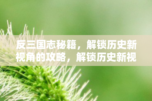 反三国志秘籍，解锁历史新视角的攻略，解锁历史新视角，反三国志秘籍全攻略