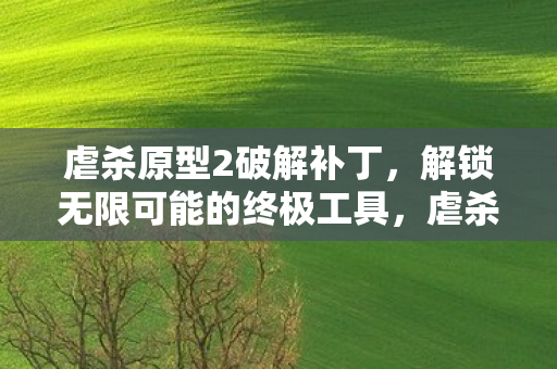 虐杀原型2破解补丁，解锁无限可能的终极工具，虐杀原型2破解补丁，解锁游戏无限可能的终极工具