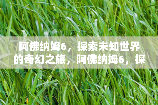阿佛纳姆6，探索未知世界的奇幻之旅，阿佛纳姆6，探索未知世界的奇幻冒险之旅