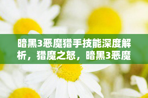 暗黑3恶魔猎手技能深度解析，猎魔之怒，暗黑3恶魔猎手，猎魔之怒技能深度解析