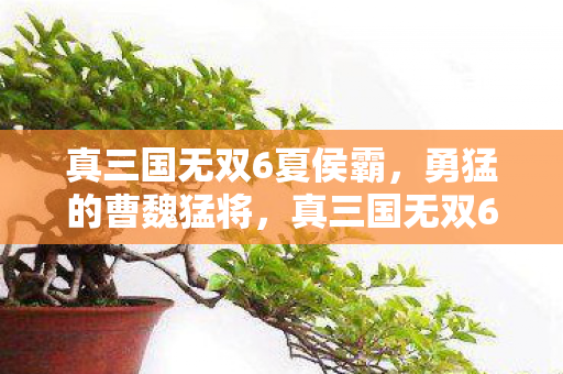 真三国无双6夏侯霸,勇猛的曹魏猛将,真三国无双6夏侯霸,曹魏猛将的勇猛展现 真三国无双6夏侯霸,勇猛的曹魏猛将,真三国无双6夏侯霸,曹魏猛将的勇猛展现