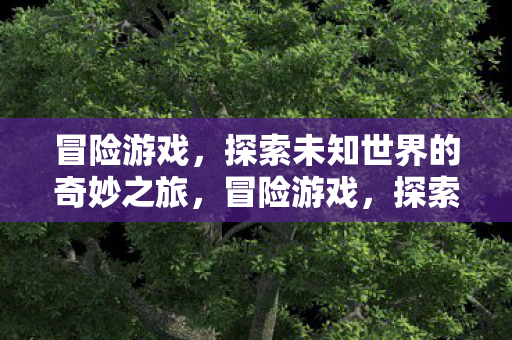 冒险游戏,探索未知世界的奇妙之旅,冒险游戏,探索未知世界的奇妙之旅 冒险游戏,探索未知世界的奇妙之旅,冒险游戏,探索未知世界的奇妙之旅