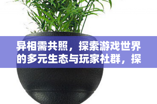 异相需共照，探索游戏世界的多元生态与玩家社群，探索游戏世界的多元生态与玩家社群，异相需共照