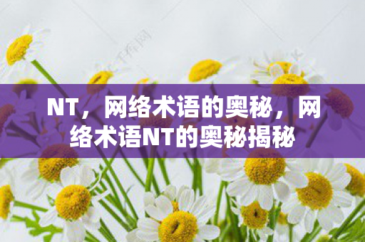 NT，网络术语的奥秘，网络术语NT的奥秘揭秘
