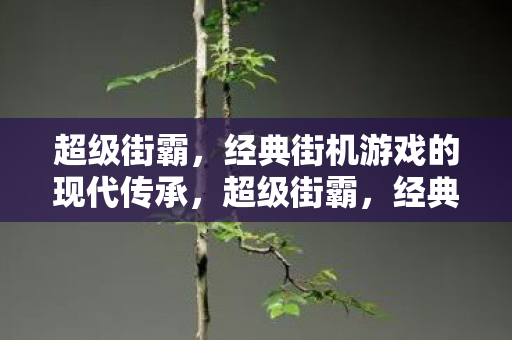 超级街霸，经典街机游戏的现代传承，超级街霸，经典街机游戏的现代传承