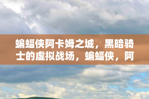 蝙蝠侠阿卡姆之城，黑暗骑士的虚拟战场，蝙蝠侠，阿卡姆之城，黑暗骑士的虚拟战场