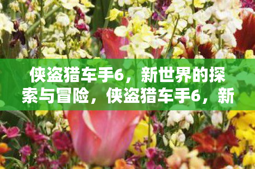 侠盗猎车手6,新世界的探索与冒险,侠盗猎车手6,新世界探索与冒险之旅 侠盗猎车手6,新世界的探索与冒险,侠盗猎车手6,新世界探索与冒险之旅