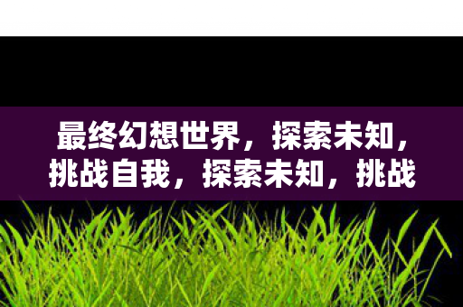 最终幻想世界,探索未知,挑战自我,探索未知,挑战自我,最终幻想世界的冒险之旅 最终幻想世界,探索未知,挑战自我,探索未知,挑战自我,最终幻想世界的冒险之旅