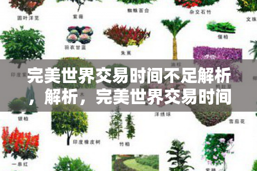 完美世界交易时间不足解析,解析,完美世界交易时间不足的原因与影响 完美世界交易时间不足解析,解析,完美世界交易时间不足的原因与影响