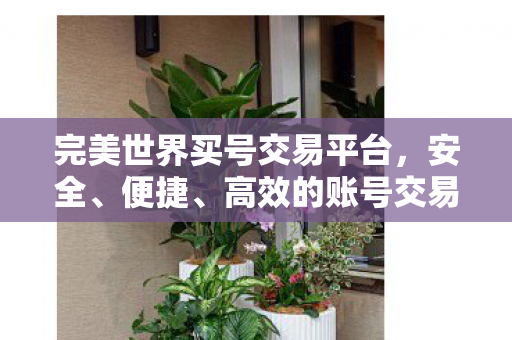 完美世界买号交易平台，安全、便捷、高效的账号交易新选择，完美账号交易平台，安全、便捷、高效的账号交易新选择