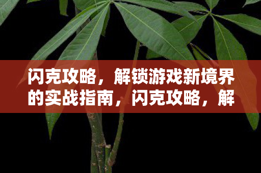 闪克攻略，解锁游戏新境界的实战指南，闪克攻略，解锁游戏新境界的实战指南