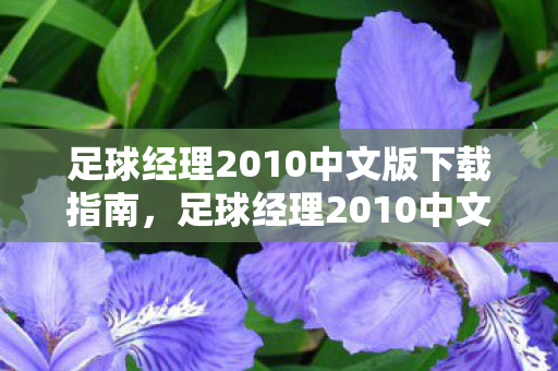 足球经理2010中文版下载指南，足球经理2010中文版下载全攻略
