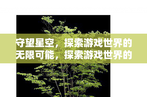 守望星空,探索游戏世界的无限可能,探索游戏世界的无限可能,守望星空 守望星空,探索游戏世界的无限可能,探索游戏世界的无限可能,守望星空