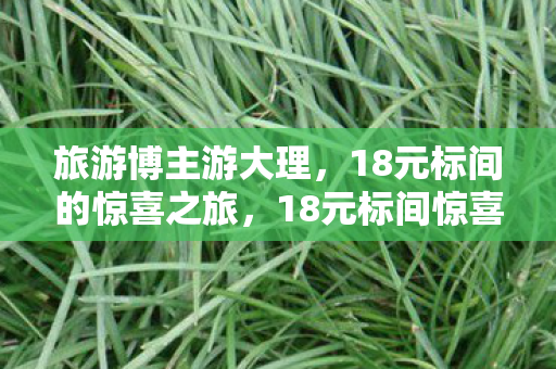 旅游博主游大理,18元标间的惊喜之旅,18元标间惊喜之旅,旅游博主探秘大理 旅游博主游大理,18元标间的惊喜之旅,18元标间惊喜之旅,旅游博主探秘大理