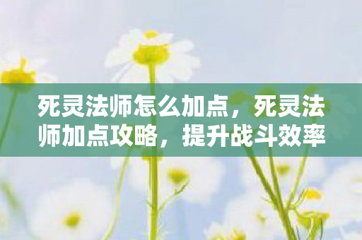 死灵法师怎么加点，死灵法师加点攻略，提升战斗效率与生存能力
