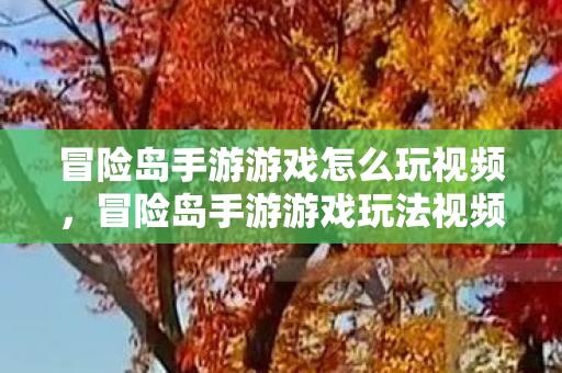 冒险岛手游游戏玩法视频指南图片