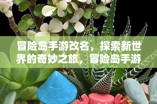 探索新世界的奇妙之旅图片