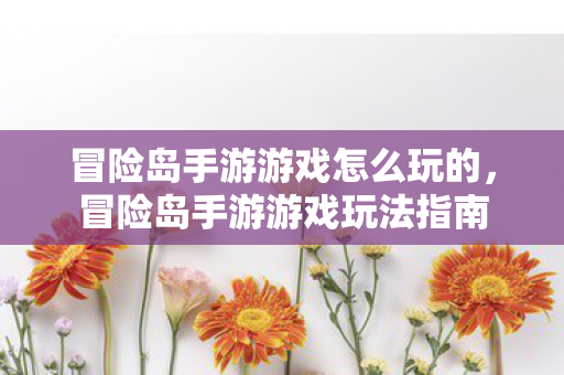 冒险岛手游游戏怎么玩的图片