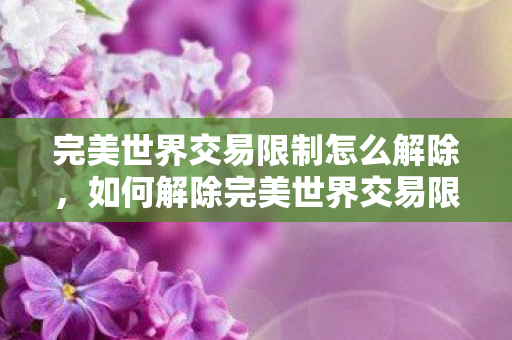 完美世界交易限制怎么解除图片