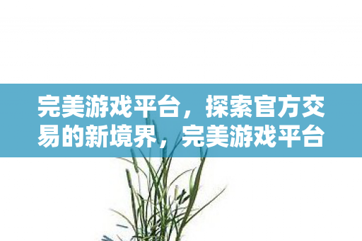 完美游戏平台，探索官方交易的新境界，完美游戏平台，探索官方交易新境界
