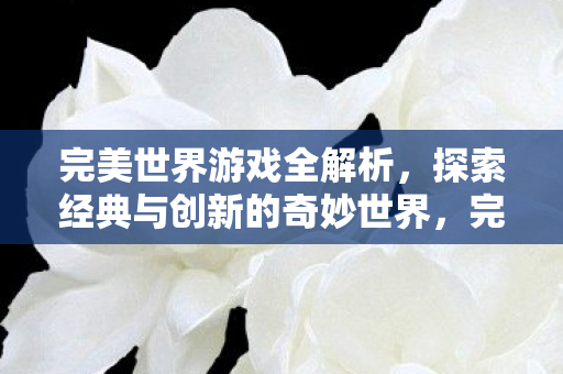 完美世界游戏全解析，探索经典与创新的奇妙世界，完美世界游戏，经典与创新交织的奇妙世界探索