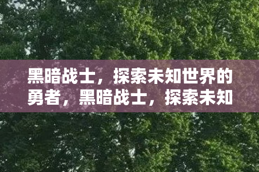 黑暗战士，探索未知世界的勇者，黑暗战士，探索未知世界的勇者之旅