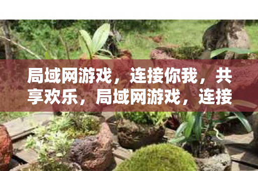 局域网游戏，连接你我，共享欢乐，局域网游戏，连接你我共享欢乐