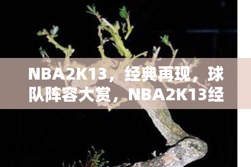 NBA2K13，经典再现，球队阵容大赏，NBA2K13经典再现，球队阵容大赏