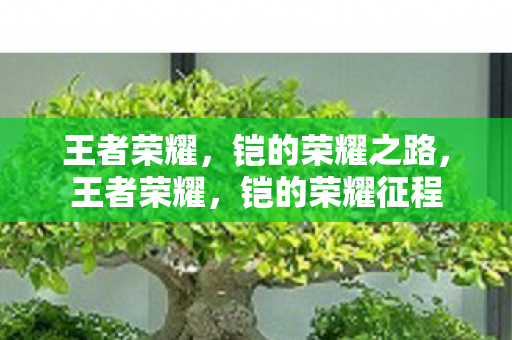 王者荣耀，铠的荣耀之路，王者荣耀，铠的荣耀征程