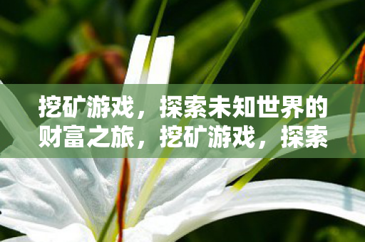 挖矿游戏,探索未知世界的财富之旅,挖矿游戏,探索未知世界的财富之旅 挖矿游戏,探索未知世界的财富之旅,挖矿游戏,探索未知世界的财富之旅