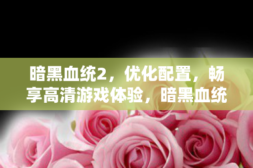 暗黑血统2，优化配置，畅享高清游戏体验，暗黑血统2，优化设置，打造高清流畅游戏体验