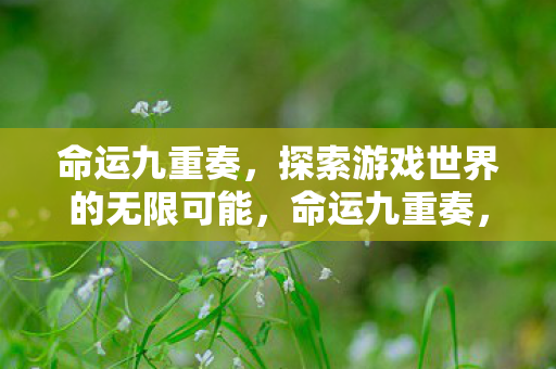 命运九重奏，探索游戏世界的无限可能，命运九重奏，解锁游戏世界的无限可能