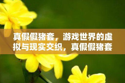 真假假猪套,游戏世界的虚拟与现实交织,真假假猪套,游戏虚拟与现实交织的奇妙世界 真假假猪套,游戏世界的虚拟与现实交织,真假假猪套,游戏虚拟与现实交织的奇妙世界