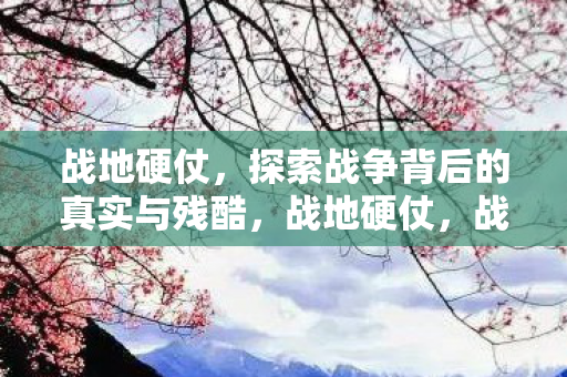 战地硬仗,探索战争背后的真实与残酷,战地硬仗,战争背后的真实与残酷 战地硬仗,探索战争背后的真实与残酷,战地硬仗,战争背后的真实与残酷