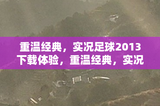 实况足球2013下载体验图片