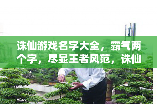 诛仙霸气两字游戏名字大全图片